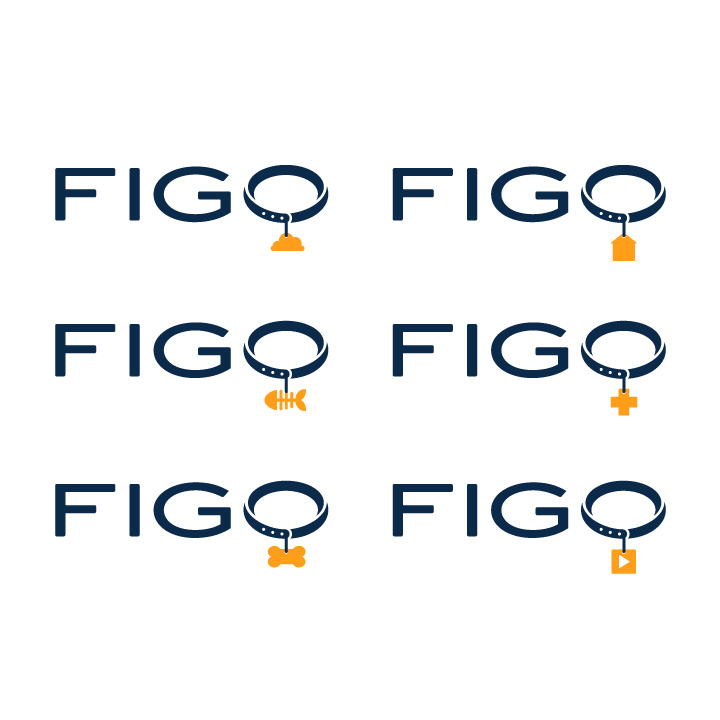 Different Iterations of the FIGO Logo Modular Variable